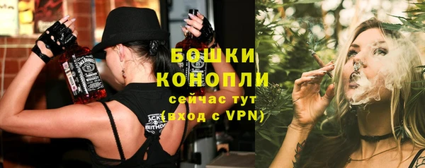 сатива Пересвет