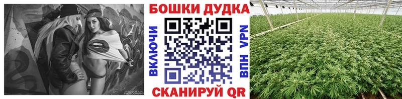 МАРИХУАНА OG Kush mega tor Шумиха